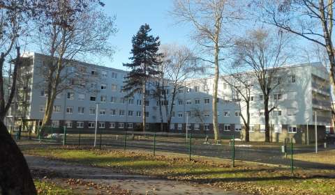 Zagreb - Reconstruction of the University campus Stjepan Radić (Sava)